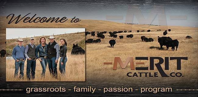 Merit Farm Processing Merit Cattle Co. | WELCOME